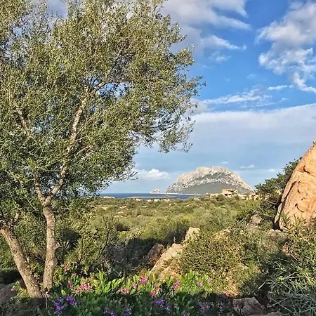 Le Caterine Porto San Paolo (Sardinia)