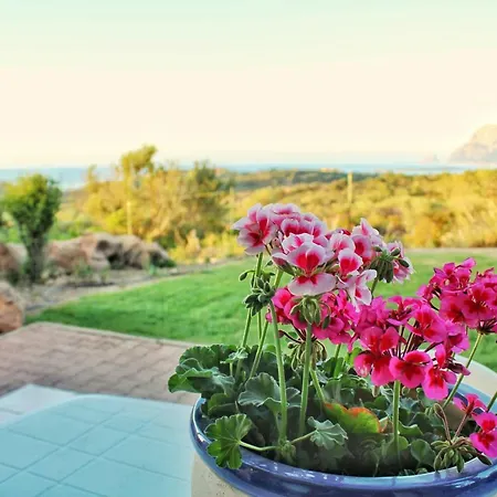 Le Caterine Holiday home Porto San Paolo (Sardinia)