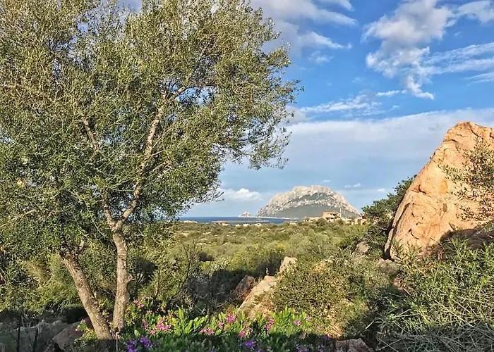Le Caterine Loiri Porto San Paolo